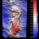 Photogrammetry color mesh, infill layer showing hominin track in Garden Route National Park. Horizontal and vertical scales are in meters.